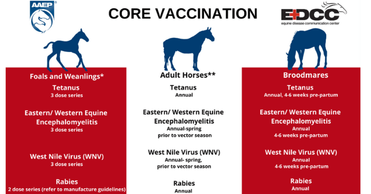 Core Equine Vaccines