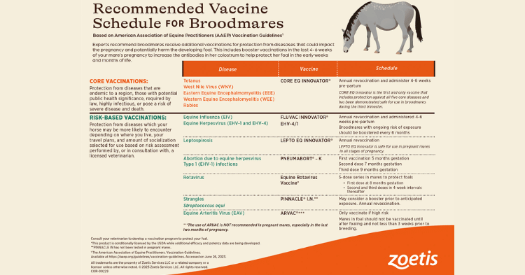 Customizing Vaccination Plans