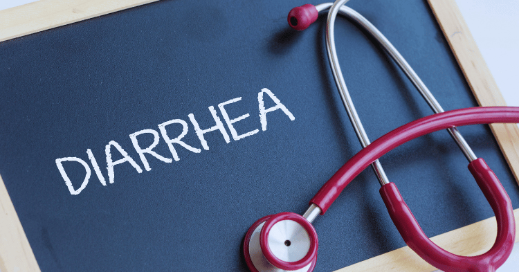 Diarrhea in Horses