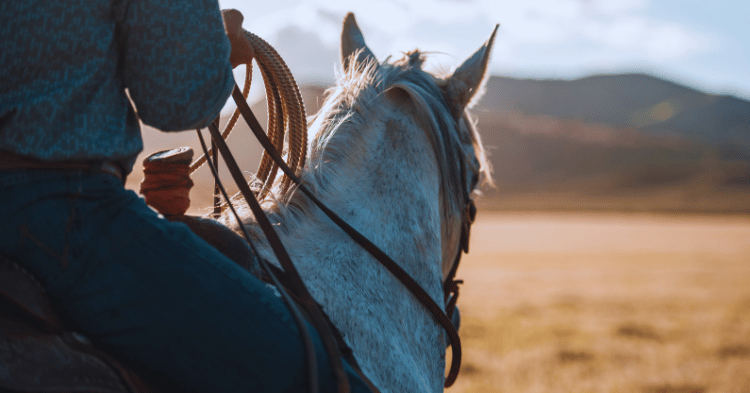 Enhancing Horse-Rider Relationships