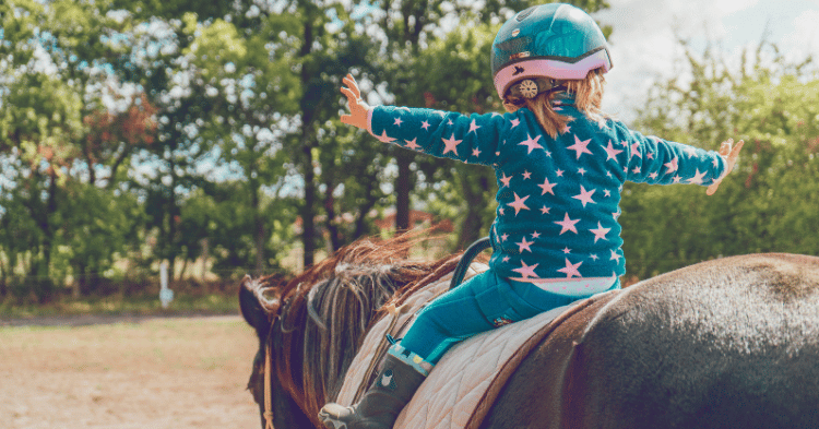 Human-Horse Interaction