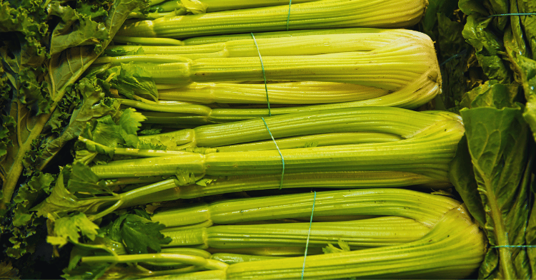 Nutritional Value of Celery for Horses