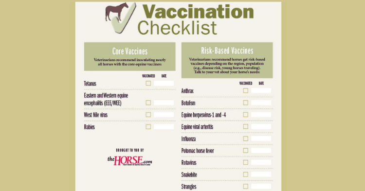 Understanding Core Vs. Risk-Based Vaccines